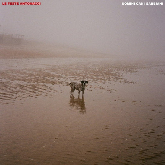 Uomini Cani Gabbiani [LP]
