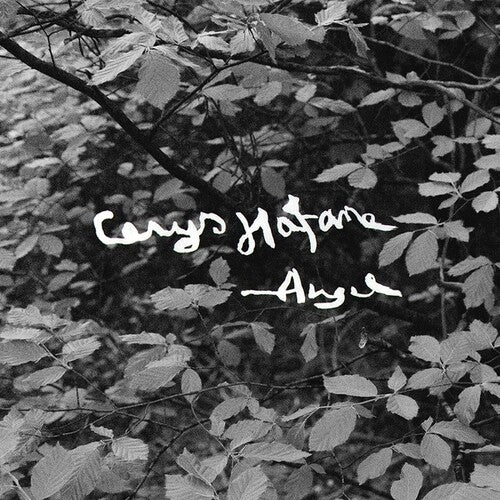 Angel [LP]