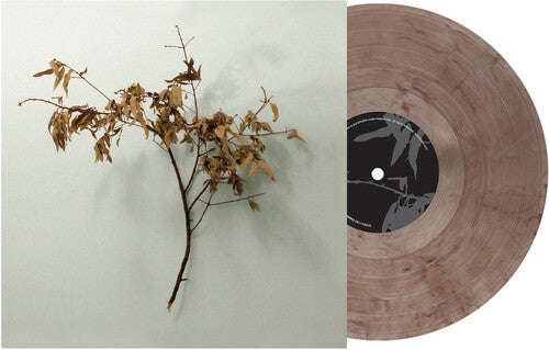 In Motion [LP Truffle Colored Vinyl 20th Anniversary Edition]