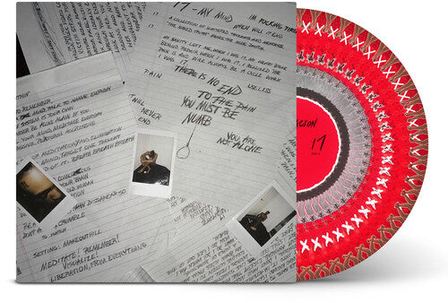 17 [Zoetrope Picture Disc Vinyl]