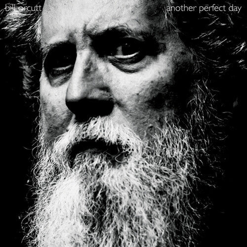 Another Perfect Day [LP]