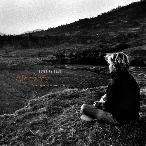 Alchemy: An Index Of Possibilities [LP] (Gold Opaque Vinyl)