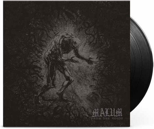 From The Voids [7"] (Import)