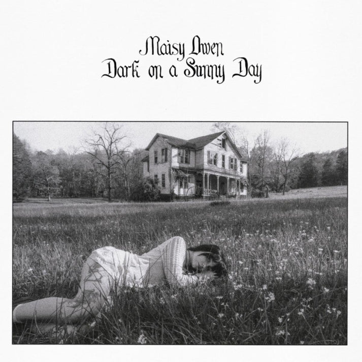Dark On A Sunny Day [LP]