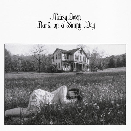 Dark On A Sunny Day [LP]