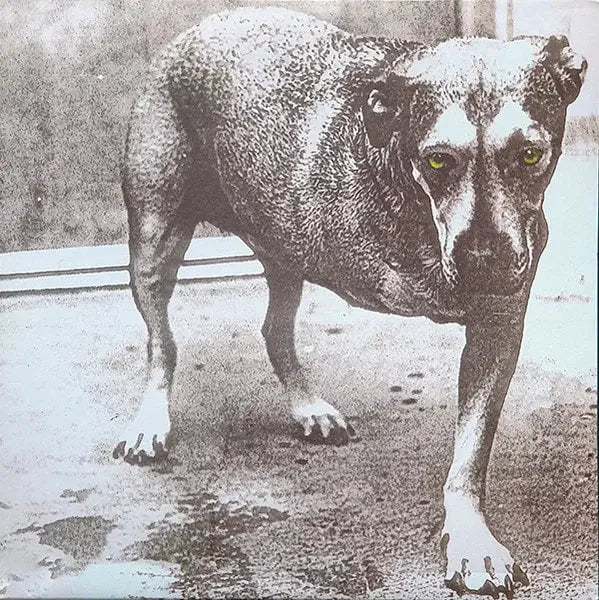 Alice In Chains (aka - 3 legged dog) (30th Anniversary) [Colored Vinyl]