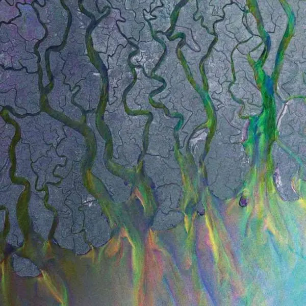 An Awesome Wave [Vinyl]