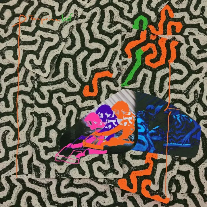 Tangerine Reef [Vinyl]