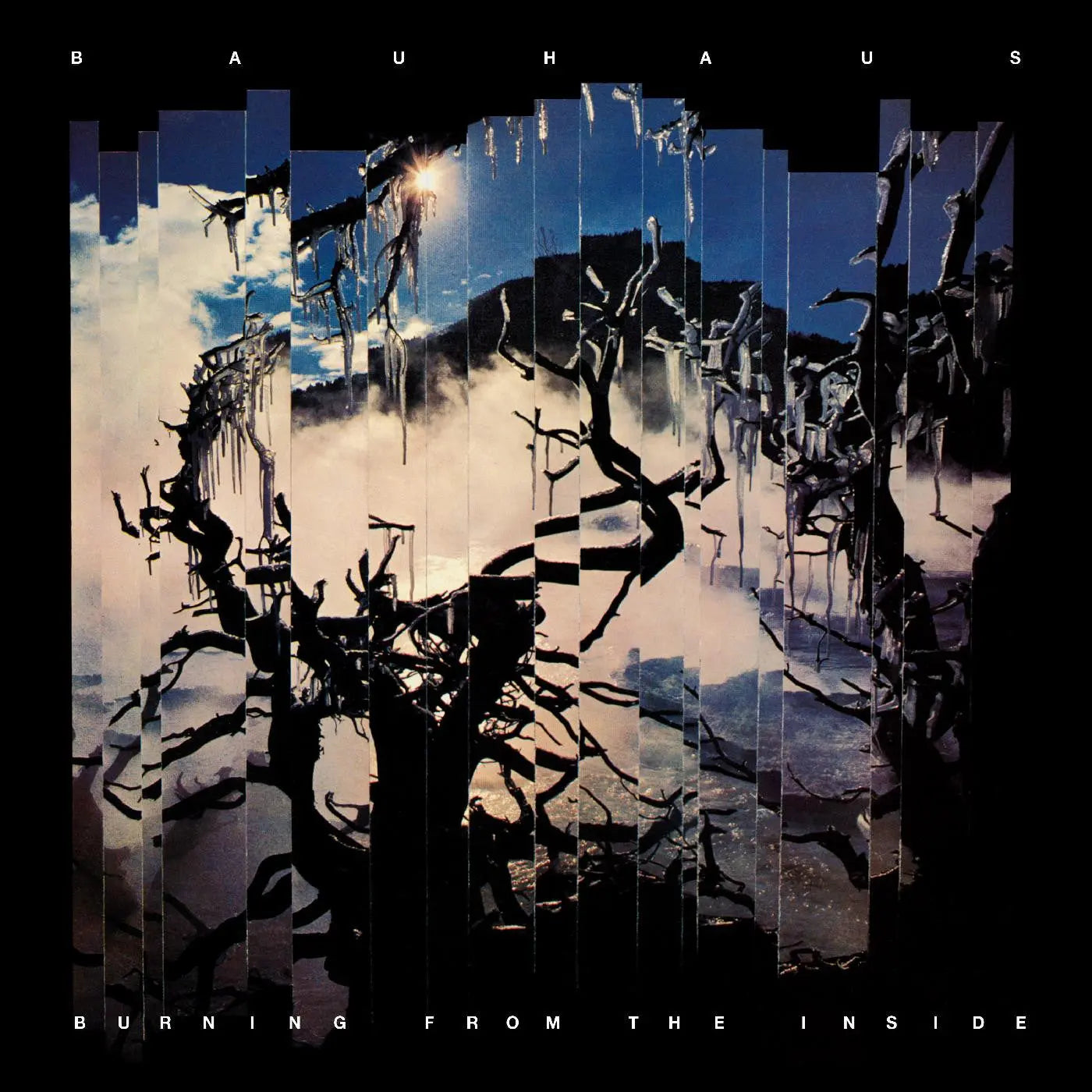 Burning From The Inside [Vinyl]