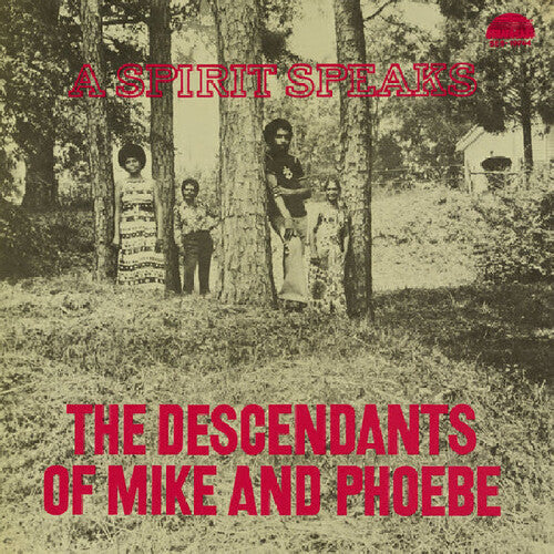 A Spirit Speaks [Vinyl]