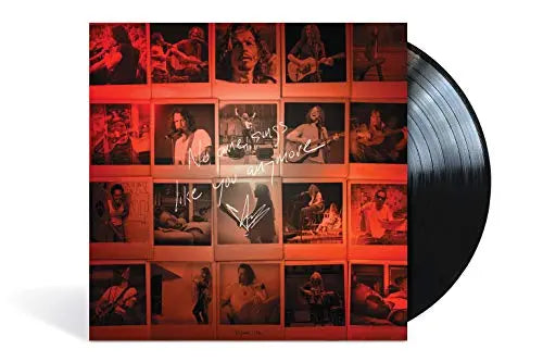 No One Sings Like You Anymore [Vinyl]