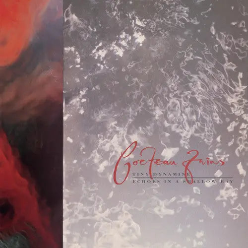 Tiny Dynamine / Echoes in a Shallow Bay [Vinyl]