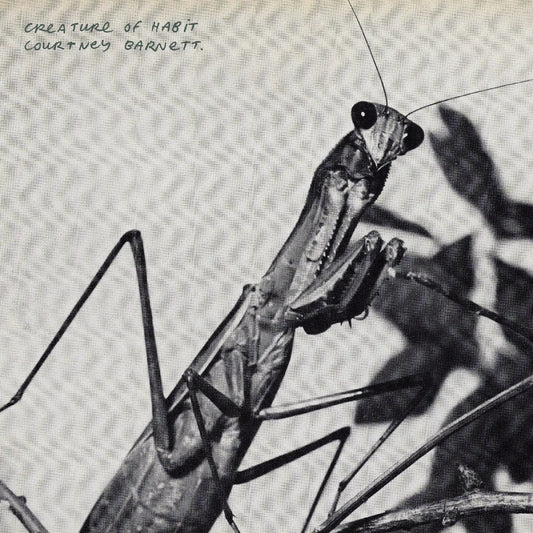 Creature Of Habit [Indie Caramel Vinyl]