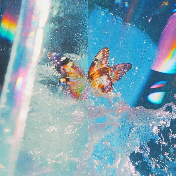 Butterfly [2LP]