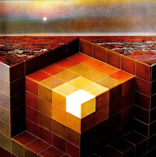 In the Future [Vinyl]