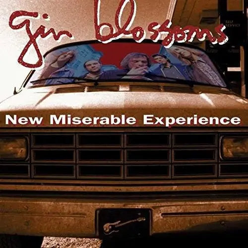 New Miserable Experience [Vinyl]