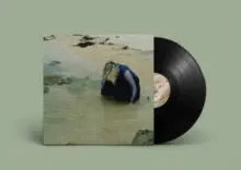 The Distance Between Heart and Mouth [LP]