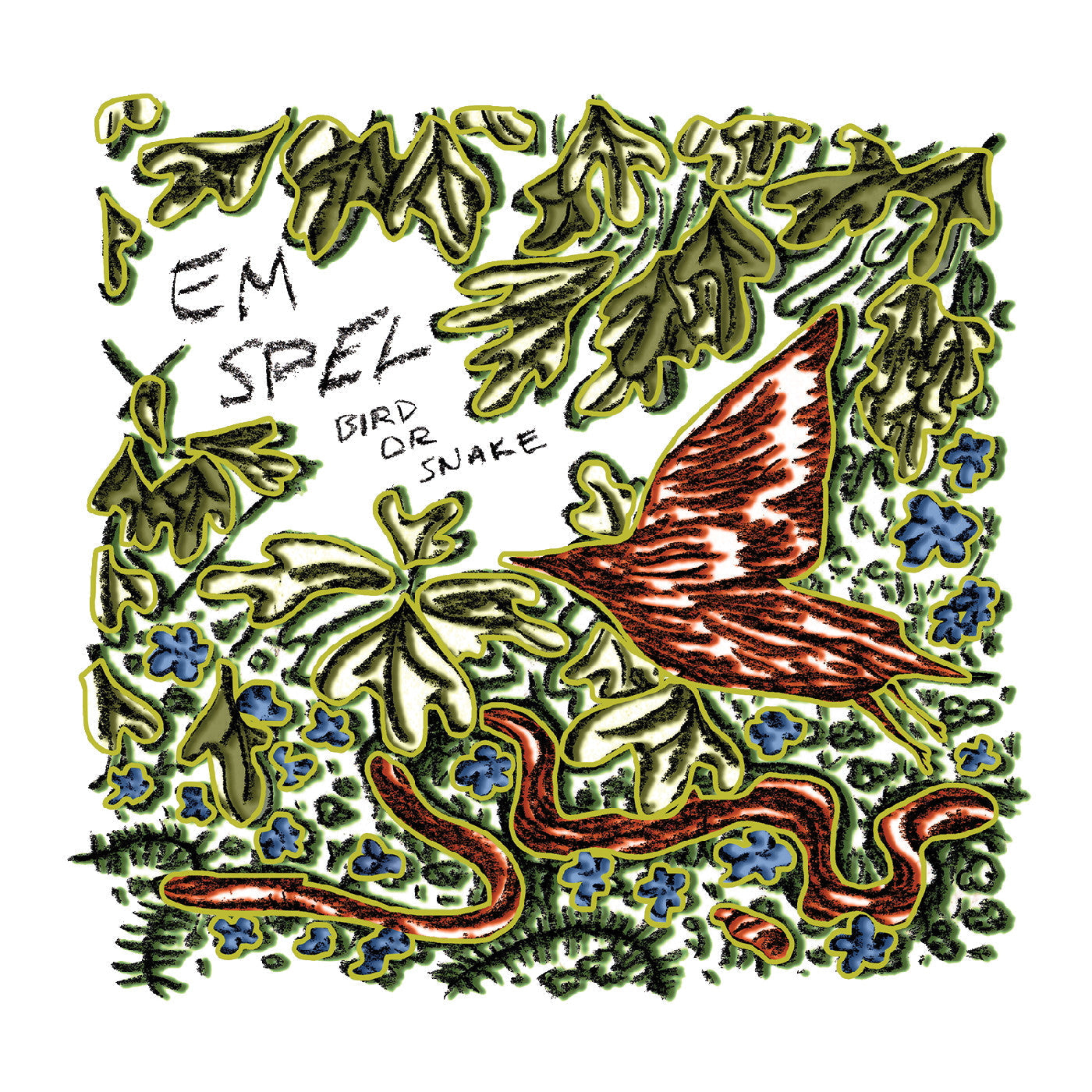Bird Or Snake [Vinyl]