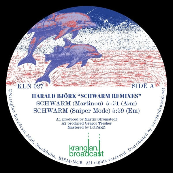 Schwarm Remixes [Vinyl]