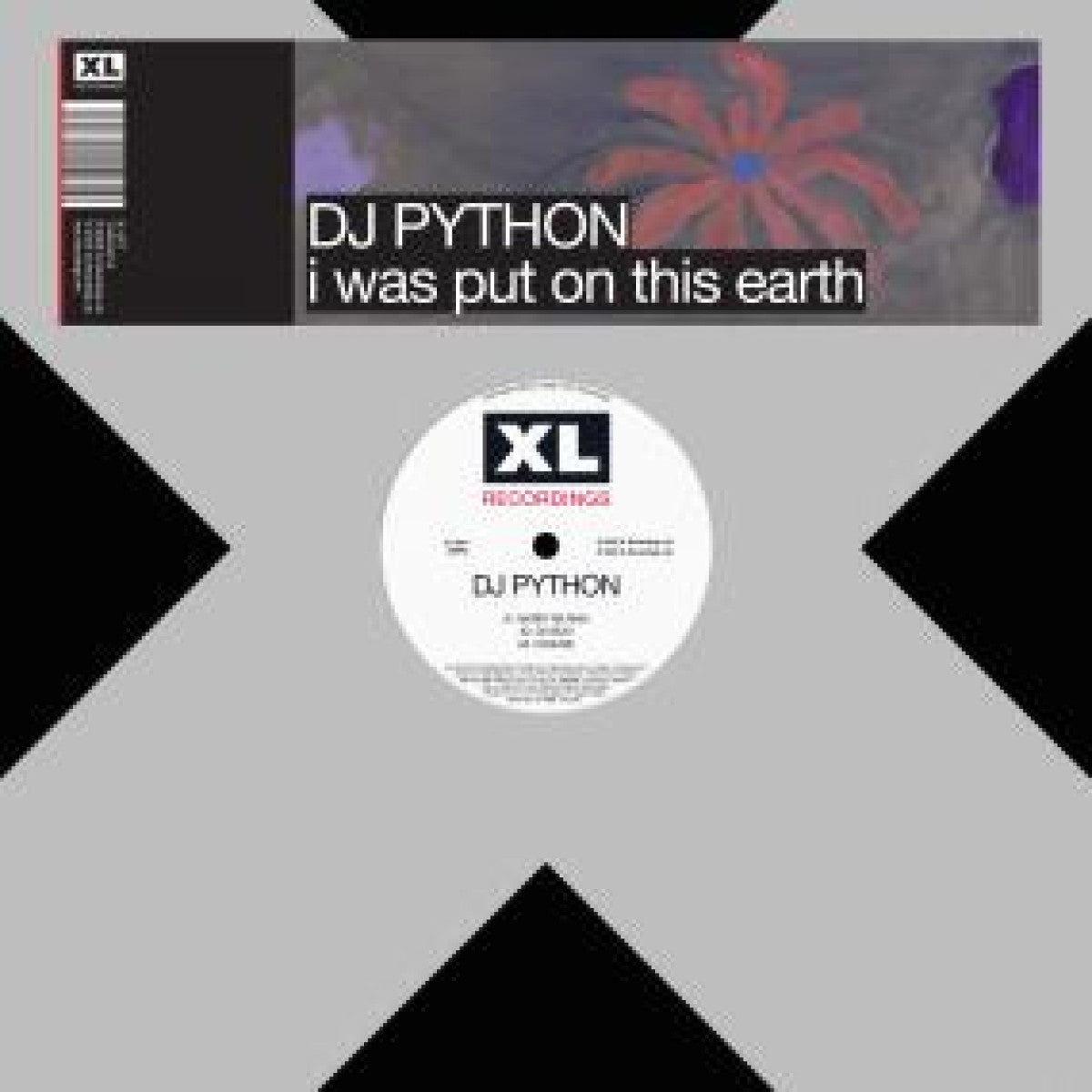 I Was Put On This Earth [12" Vinyl import]