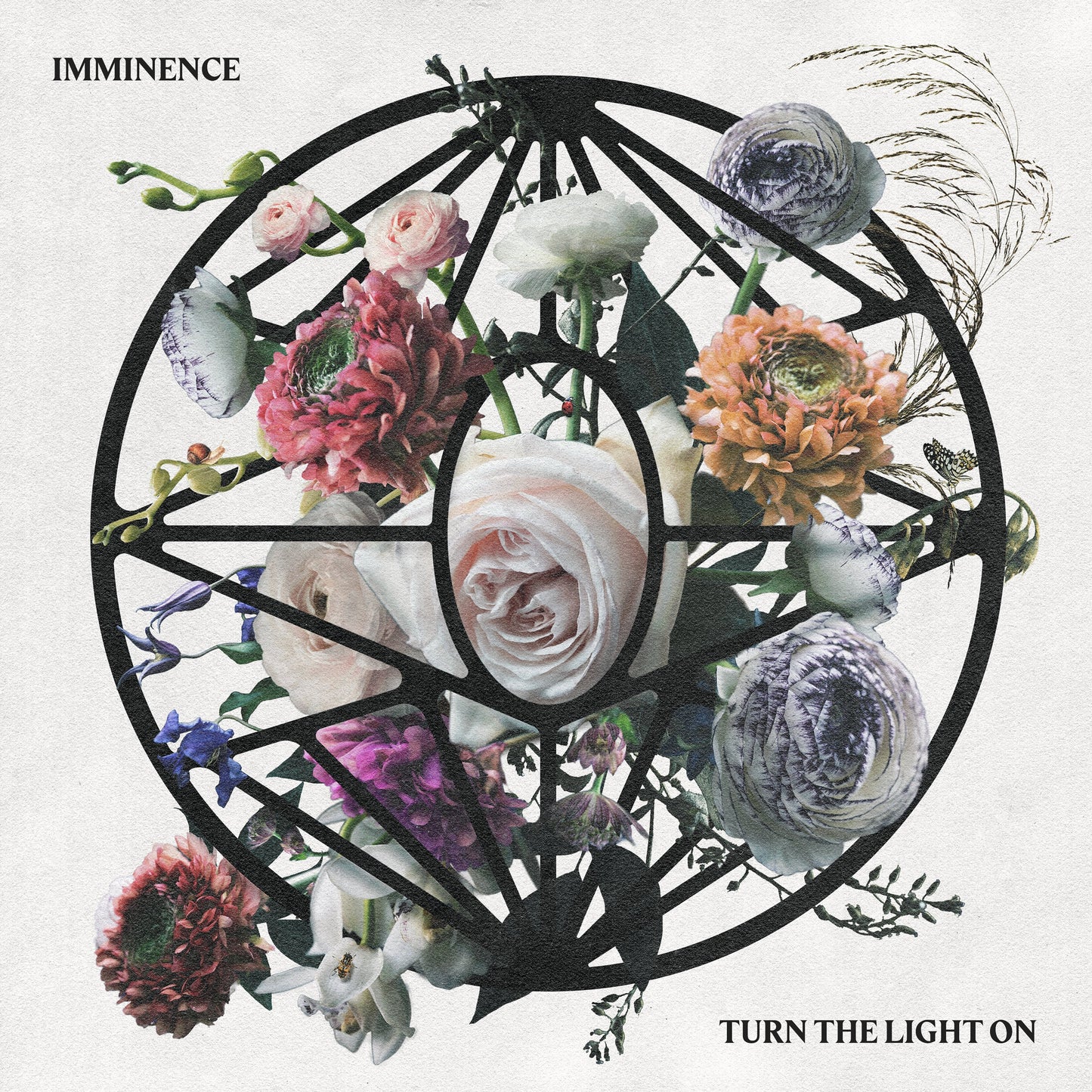 Turn The Light On (Crystal Clear / Black Marbled 2LP) [Vinyl]