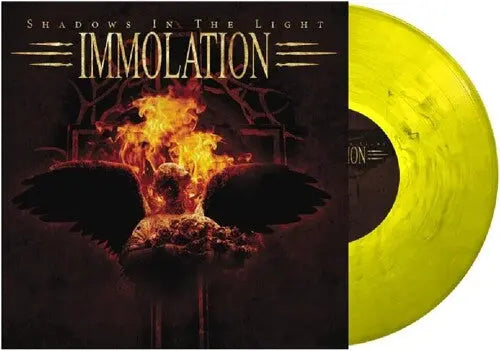 Shadows In The Light [LP]