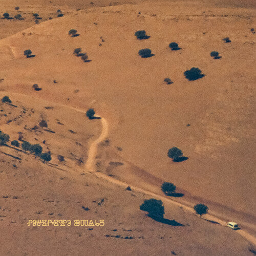 Nocturnal Consolations [Vinyl]