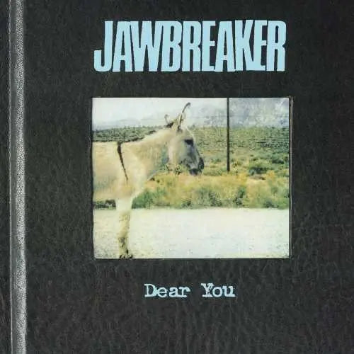 Dear You [Vinyl]