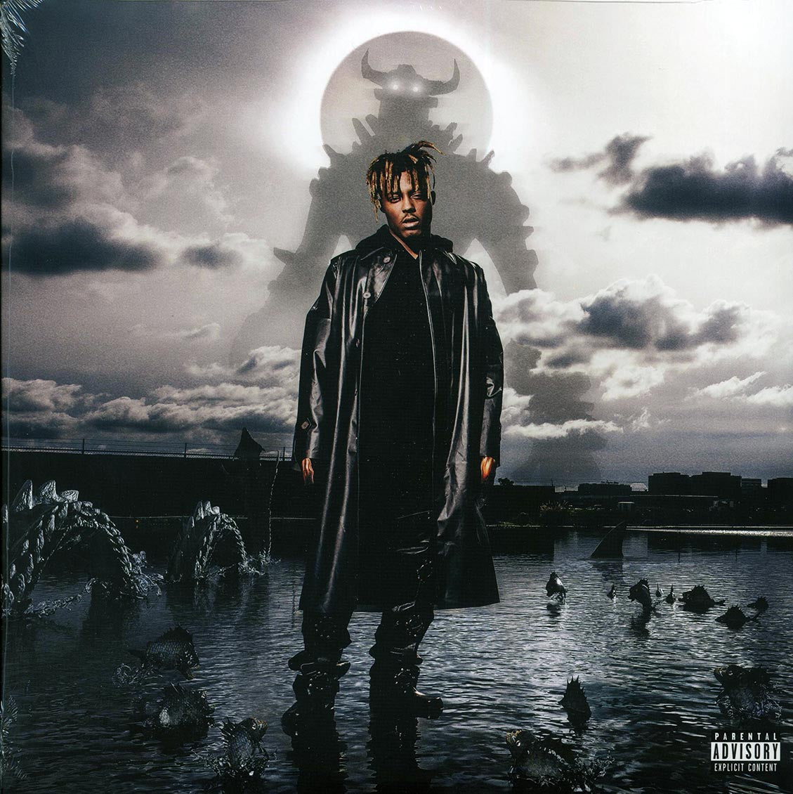 Fighting Demons [Explicit Vinyl]