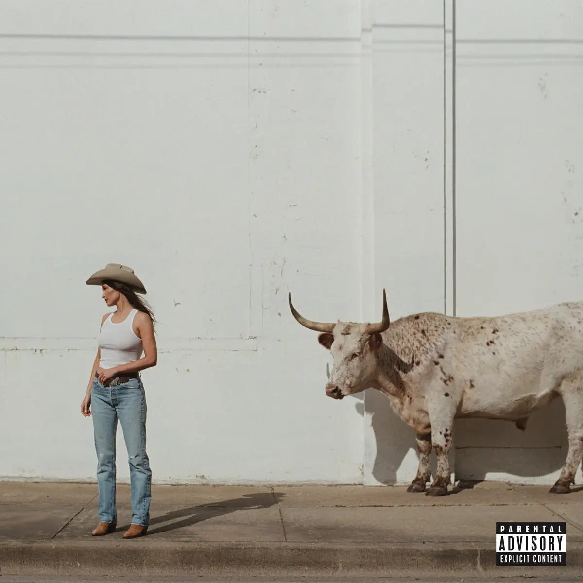 Middle Of Nowhere [Rodeo Clown Edition Vinyl]