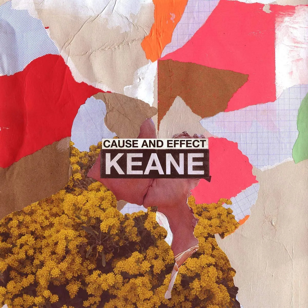 Cause and Effect [Vinyl]