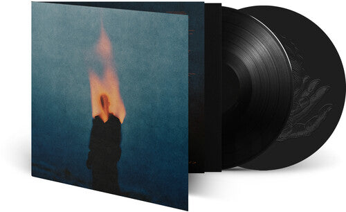 Amor [Vinyl]