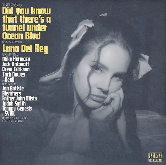 Did you know that there’s a tunnel under Ocean Blvd [Vinyl]