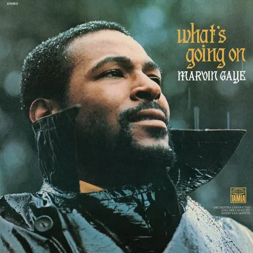 What's Going On [180-Gram Vinyl]