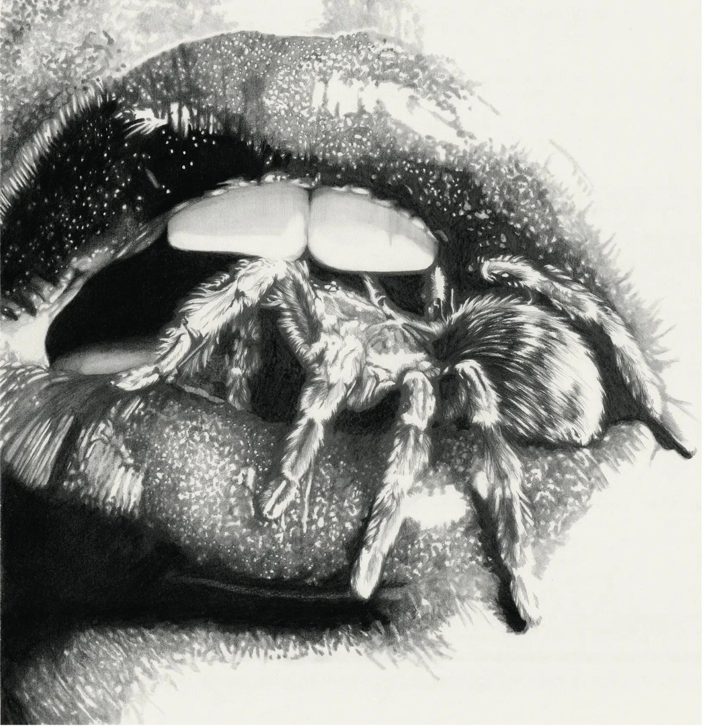 Let The Spiders In [LP]