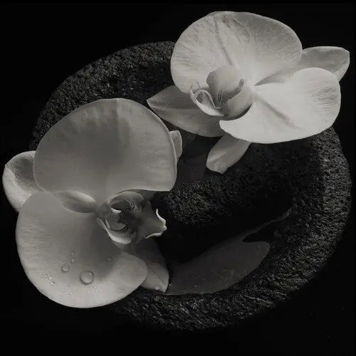 Corpse Flower [Smoky Swirl Vinyl LP]