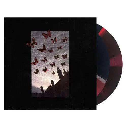 Are We Really Happy With Who We Are Right Now? [2LP Black/Grey/Red Merge Vinyl]