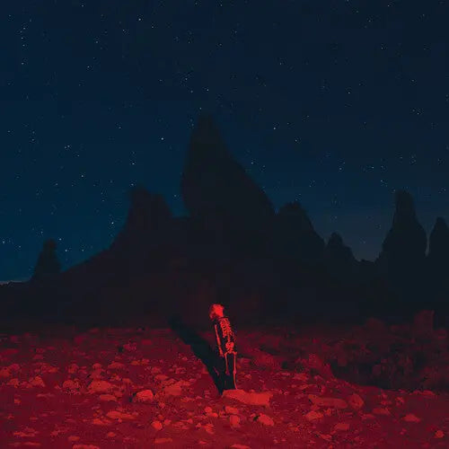Punisher [Vinyl]