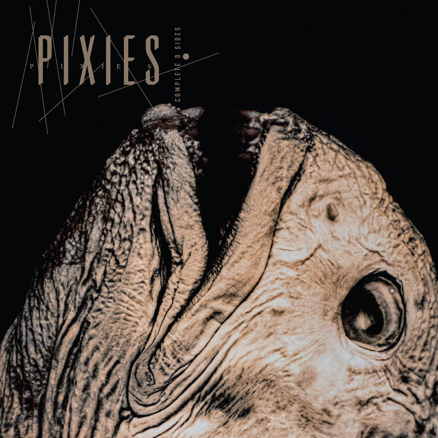 Complete B Sides: 1988-97 [Vinyl]