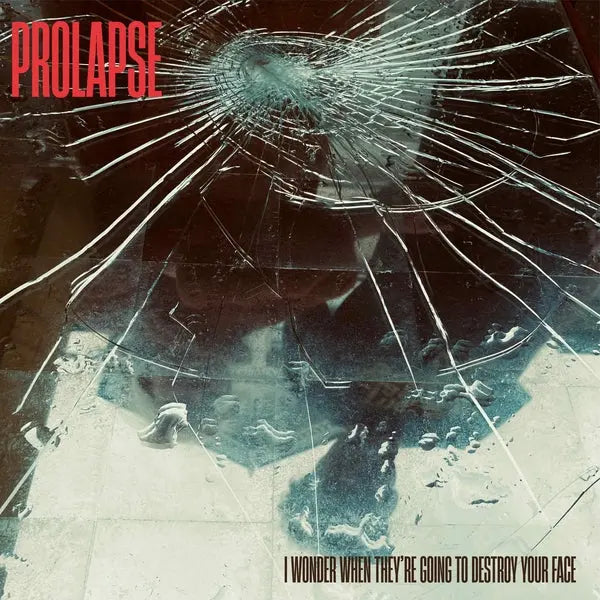 I Wonder When They're Going To Destroy Your Face [LP]