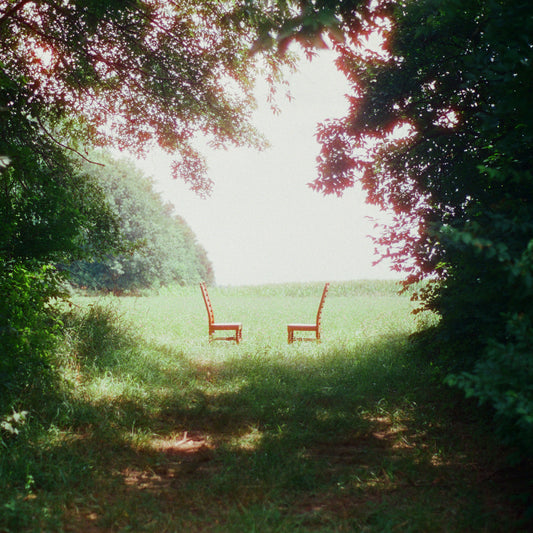 Singin' to an Empty Chair [Green and Brown Marble Vinyl]