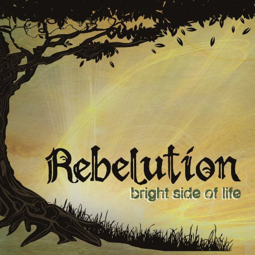 Bright Side of Life [LP]