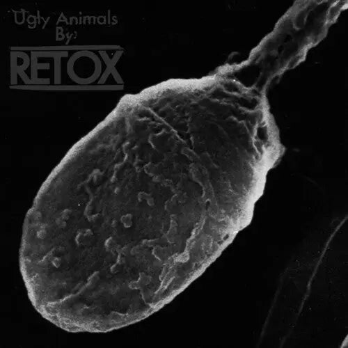 Ugly Animals [LP]