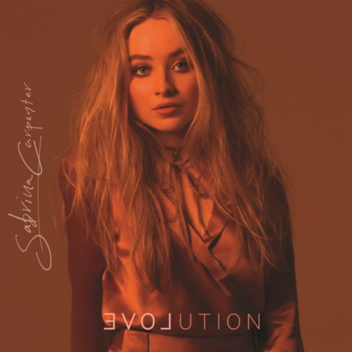 Evolution [Vinyl]