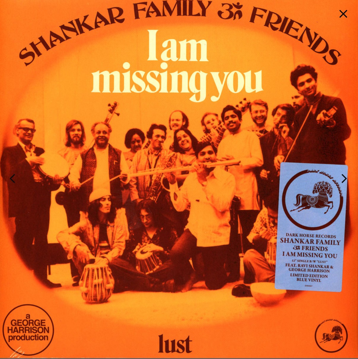 I Am Missing You [12" Blue Vinyl Single]