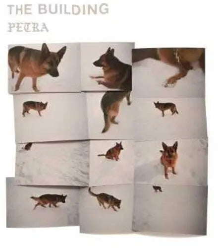 Petra [Vinyl]