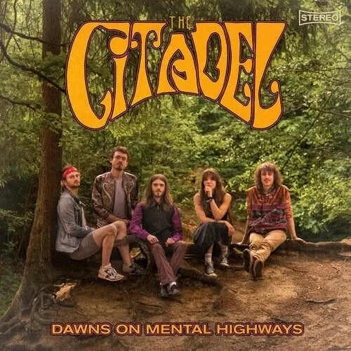 Dawns On Mental Highways [LP]