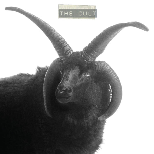 The Cult (Black Sheep) [White Vinyl]