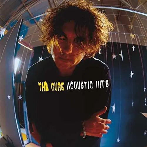 Acoustic Hits [Vinyl]