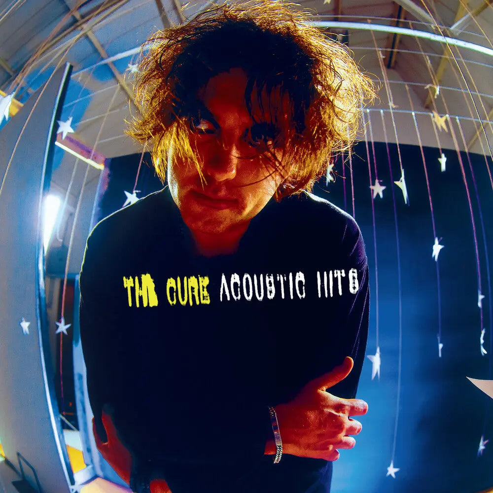 Acoustic Hits 25 [Vinyl]